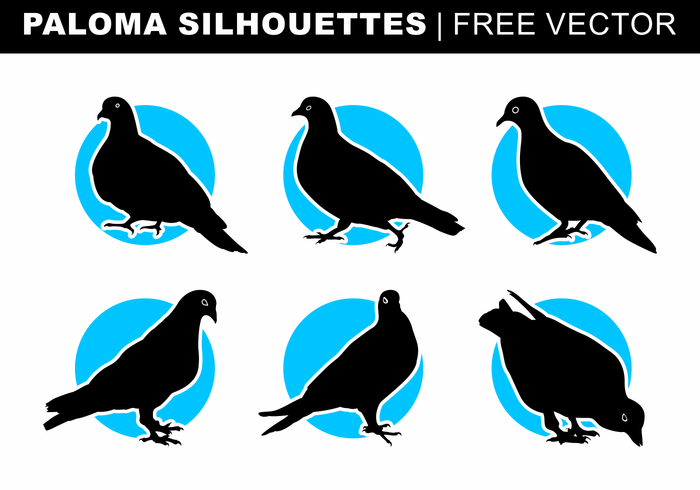 Paloma Silhouettes Free Vector 700x490 Paloma Silhouettes Free Vector