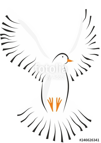 Paloma Stock Image And Royalty Free Vector 354x500 Paloma Stock Image And Royalty Free Vector