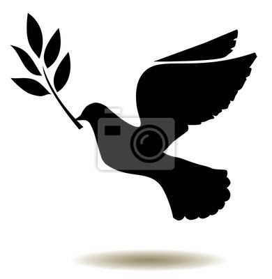 Vector Paloma Silueta Con Rama De Olivo Pinturas Para La Pared 390x400 Vector Paloma Silueta Con Rama De Olivo Pinturas Para La Pared