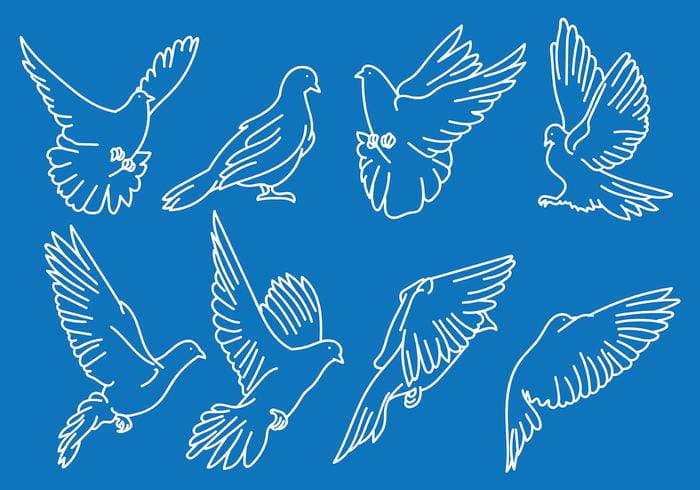 Free Paloma Icons Vector Free Graphics Uihere 700x490 Free Paloma Icons Vector Free Graphics Uihere