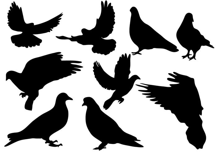 Free Pigeon Silhouette Vector 700x490 Free Pigeon Silhouette Vector