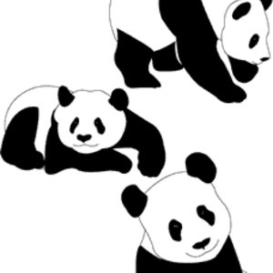 Free Vectors Panda Bears Alan Brown 300x300 Free Vectors Panda Bears Alan Brown