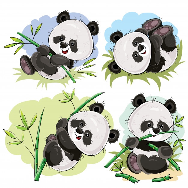 Panda Vectors, Photos And Free Download 626x626 Panda Vectors, Photos And Free Download