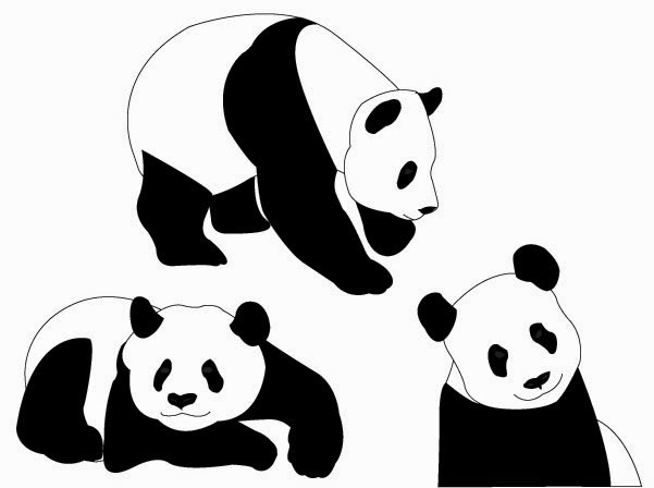 Vector Graphics Collection Three Panda Bear Vector 601x448 Vector Graphics Collection Three Panda Bear Vector