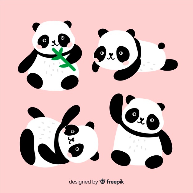 626x626 Panda Vectors, Photos And Free Download