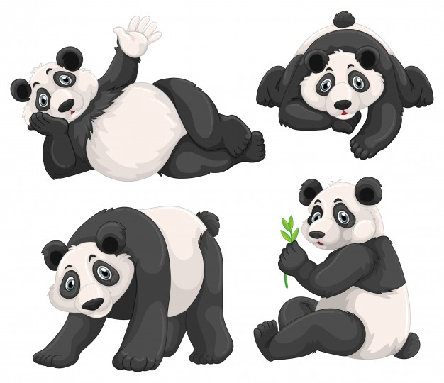 Panda Vectors, Photos And Free Download 626x540 Panda Vectors, Photos And Free Download