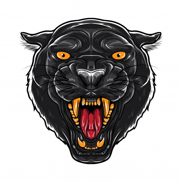 Panther Line Drawing at GetDrawings | Free download