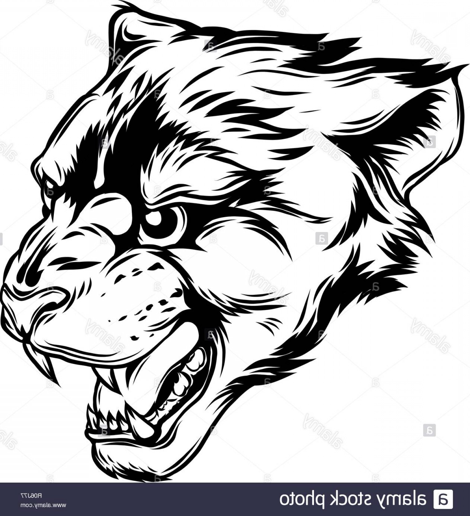 1518x1668 Panther Head Vector Catchsplace