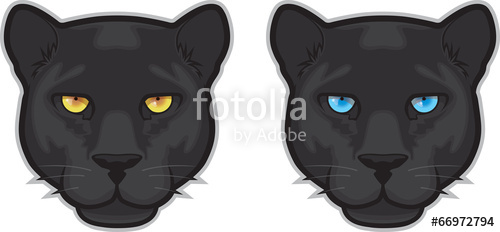 500x232 Black Panther Face Stock Image And Royalty Free Vector