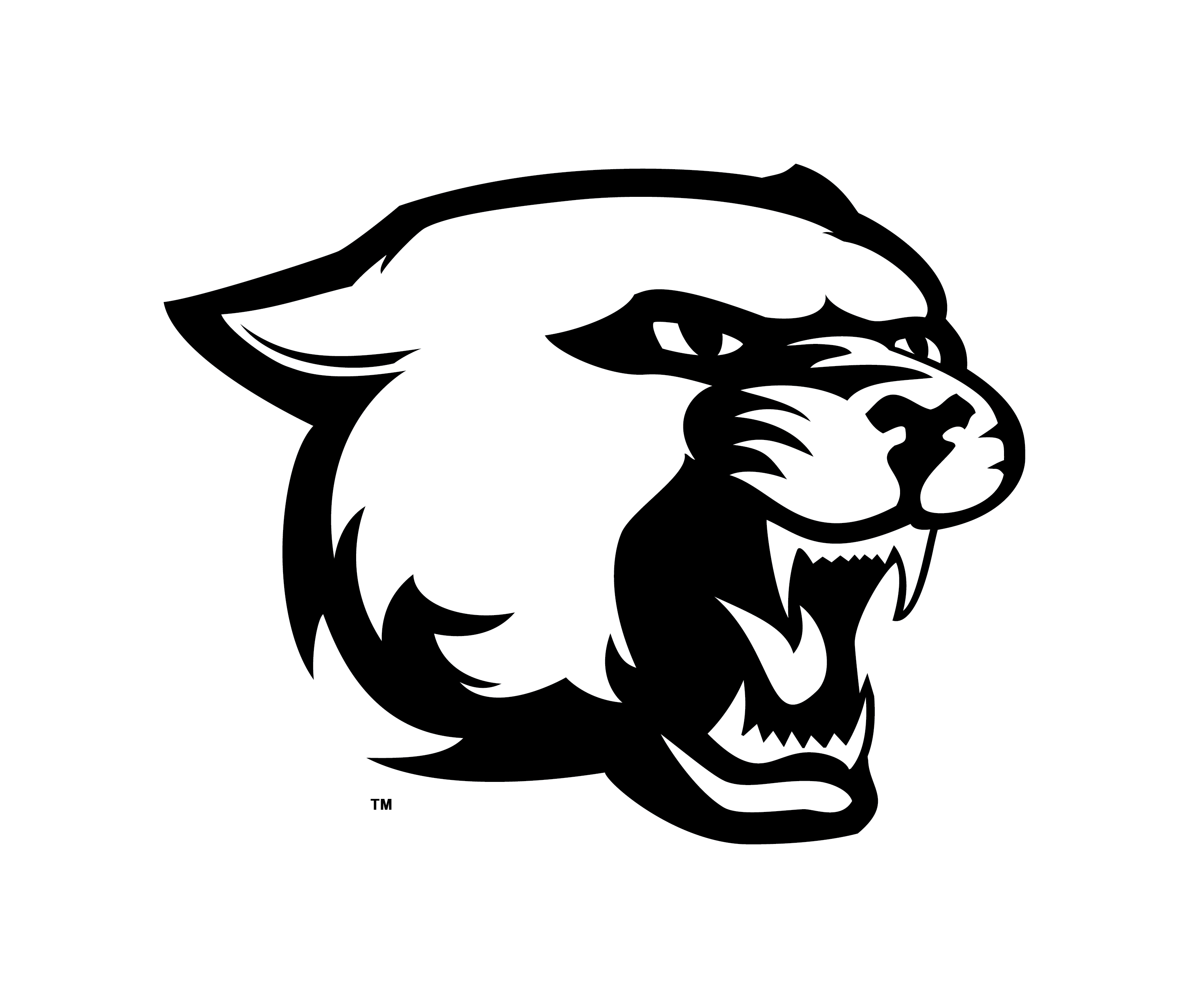 Panther Face Vector at Vectorified.com | Collection of Panther Face