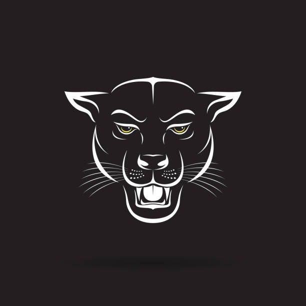 612x612 Vector Of An Angry Panther Head On Black Background Wild Animals