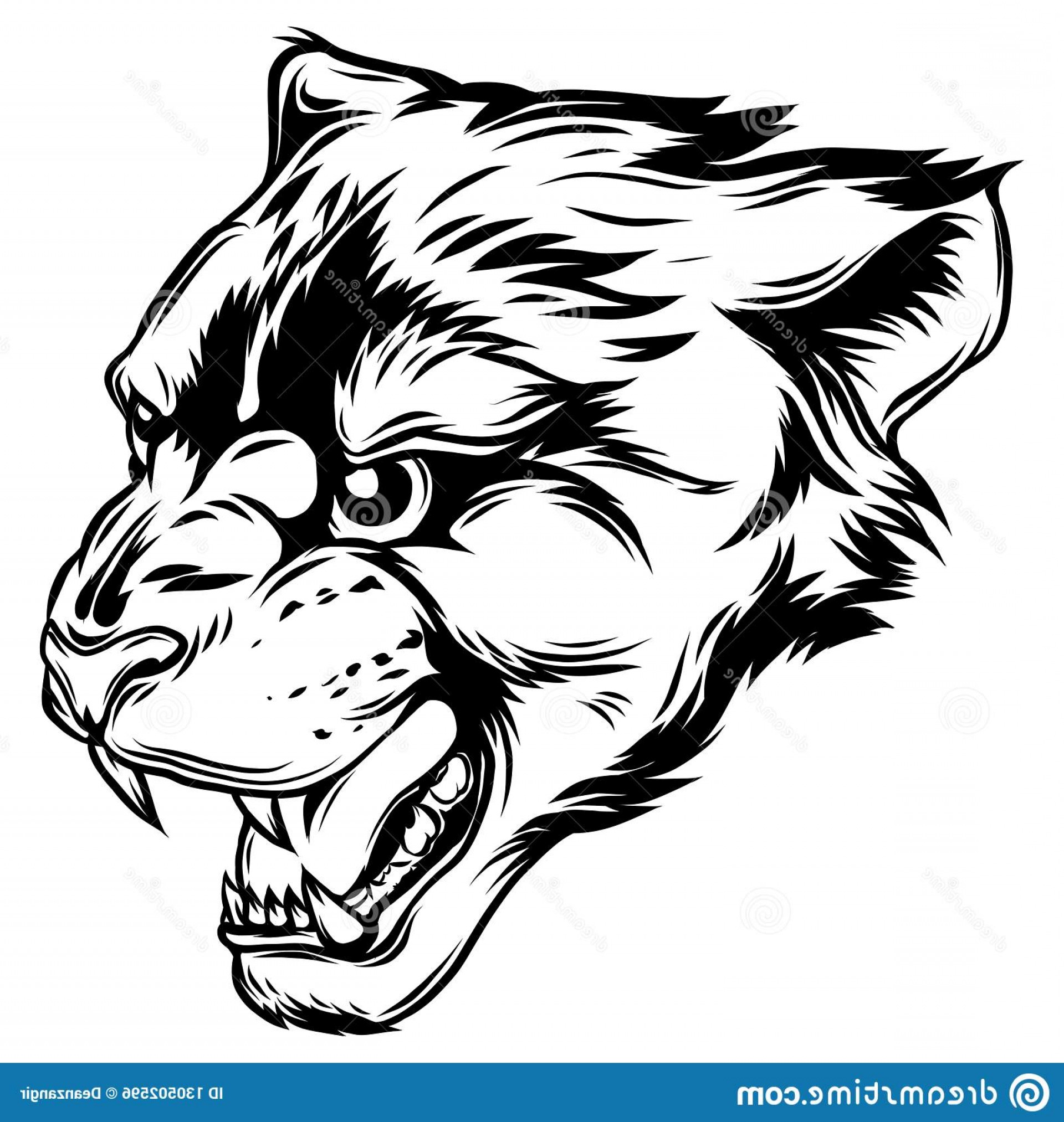 Panther Head Vector Lamaison 1920x2026 Panther Head Vector Lamaison
