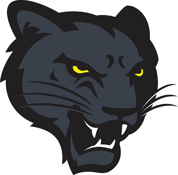 Panther Head Vector Art Illustration Neat Pins Panther Logo 612x603 Panther Head Vector Art Illustration Neat Pins Panther Logo