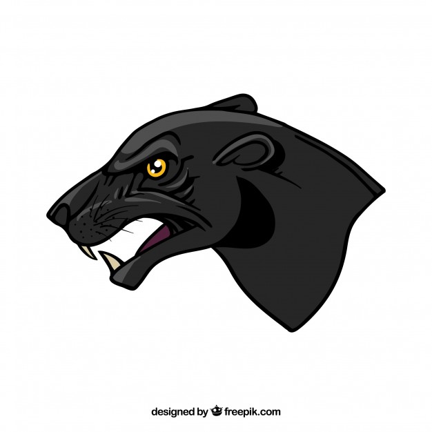Side Panther Head Vector Free Download 626x626 Side Panther Head Vector Free Download