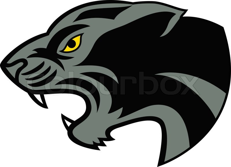 Black Panther Head Stock Vector Colourbox 800x578 Black Panther Head Stock Vector Colourbox