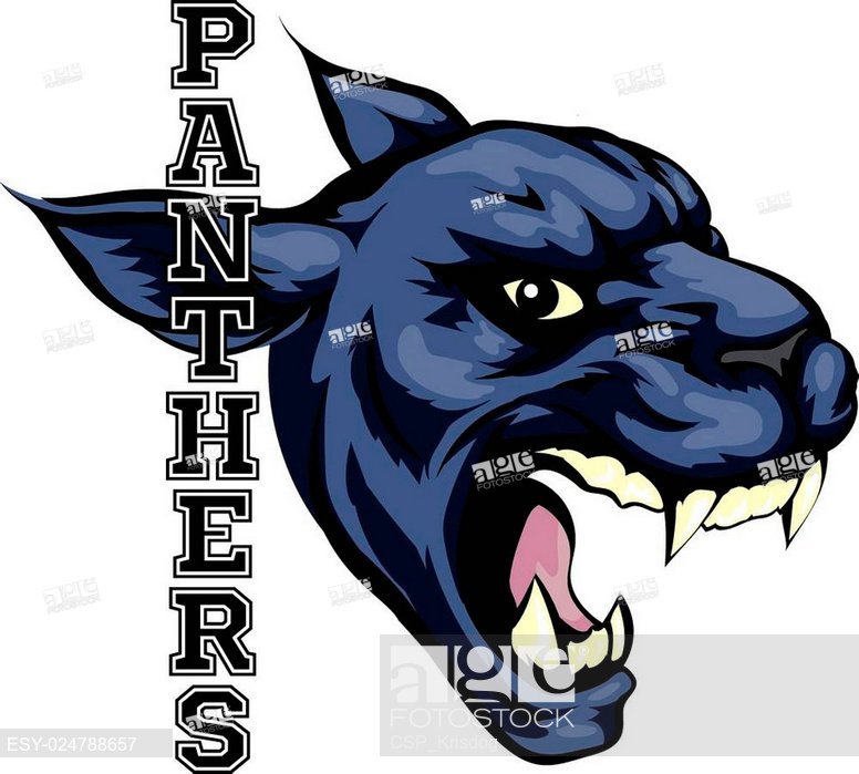 Panthers Mascot, Stock Vector, Vector And Low Budget Royalty Free 776x699 Panthers Mascot, Stock Vector, Vector And Low Budget Royalty Free