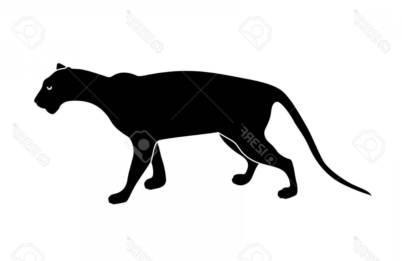 1560x1014 Panther Silhouette Vector Art Catchsplace