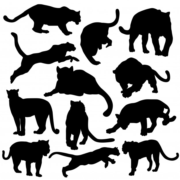 626x626 Puma Panther Animal Silhouette Vector Vector Premium Download