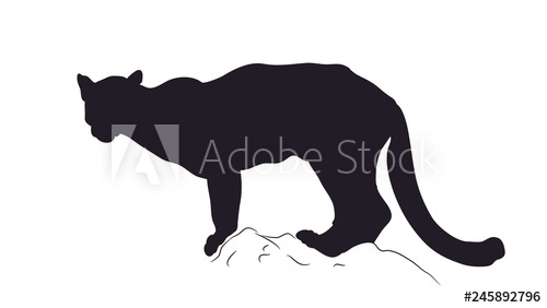 500x282 Panther Silhouette, Vector