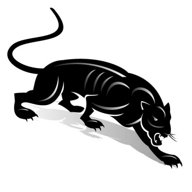 626x626 Panther Vectors, Photos And Free Download