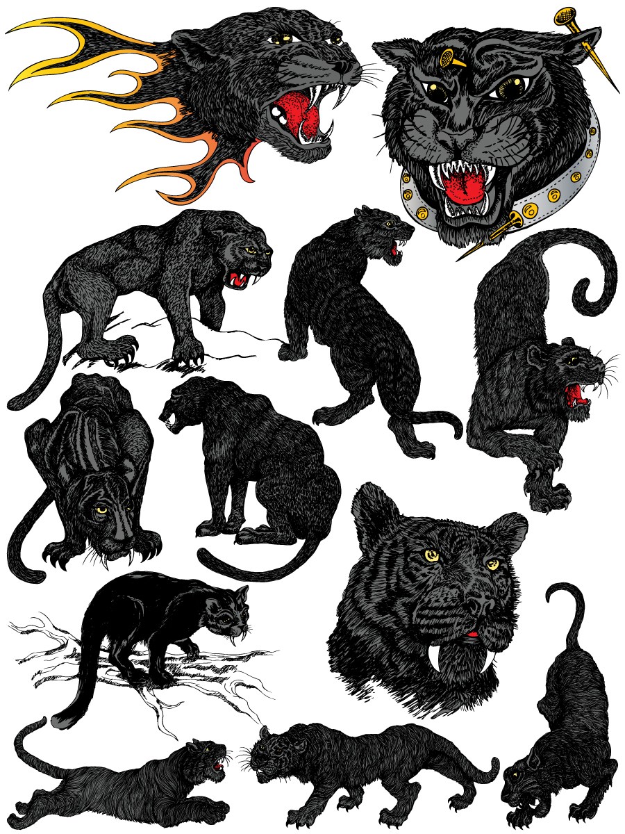 900x1200 Black Panther Vector And Photoshop Brush Pack