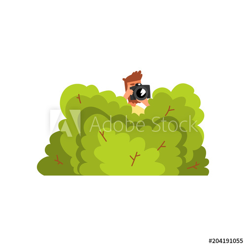 500x500 Professional Male Photographer Paparazzi Hiding In Green Bushes