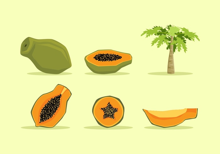 Papaya Vector