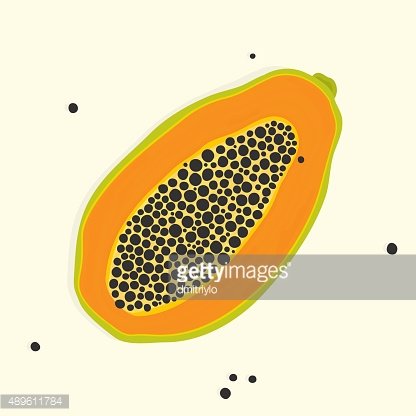 416x416 Papaya Vector Illustration Premium Clipart