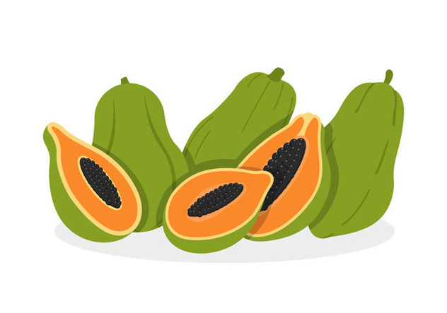 632x443 Papaya Vectors Free Vector Download Cannypic