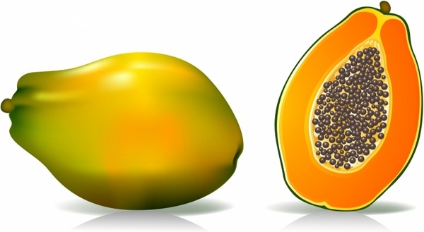 Papaya Vector at Vectorified.com | Collection of Papaya Vector free for ...