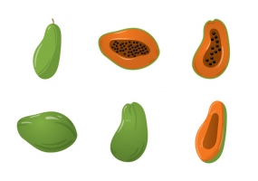 285x200 Papaya Vector Free Vector Graphic Art Free Download