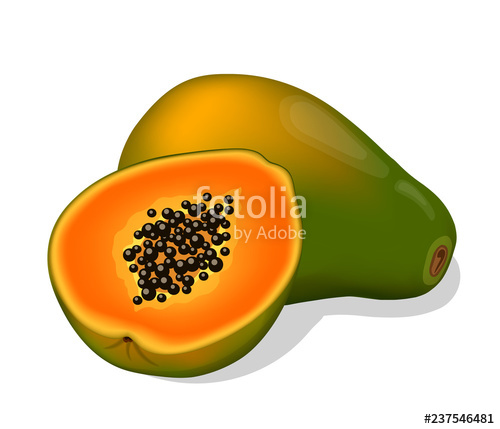 500x429 Papaya Vector Illustration Stock Image And Royalty Free Vector