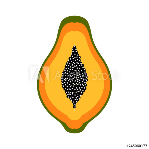 500x500 Front View Of A Cut Papaya Vector Illustration Design
