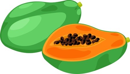 450x256 Illustration Papaya Vector On White Background Royalty Free