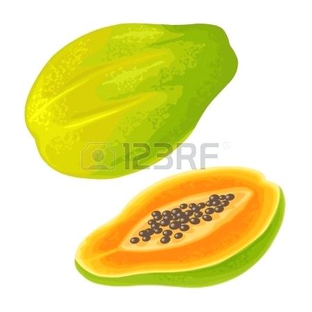 450x450 Papaya Clipart