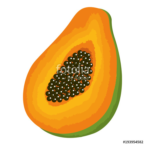 500x500 Tropical And Exotic Papaya Fruit Vector Illustration Design Stock