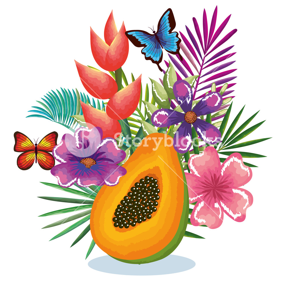 1000x981 Tropical Garden With Papaya Vector Illustration Design Fruits