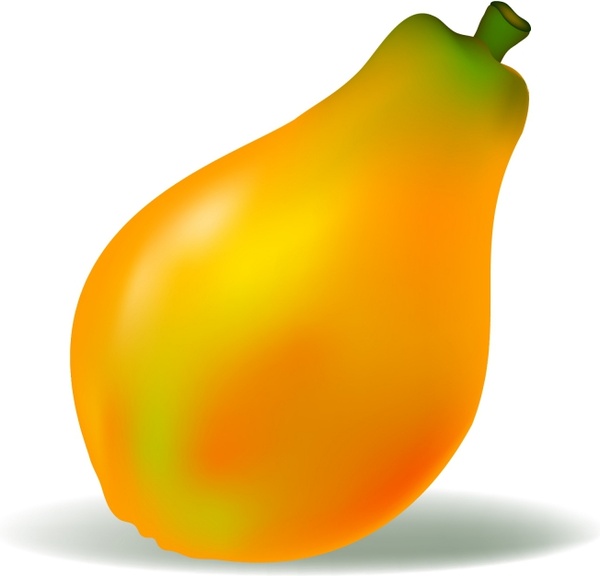 600x576 Papaya Free Vector In Adobe Illustrator