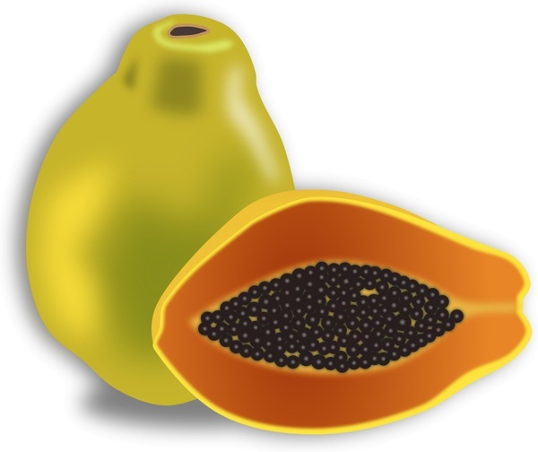 600x504 Papaya Free Vector In Open Office Drawing