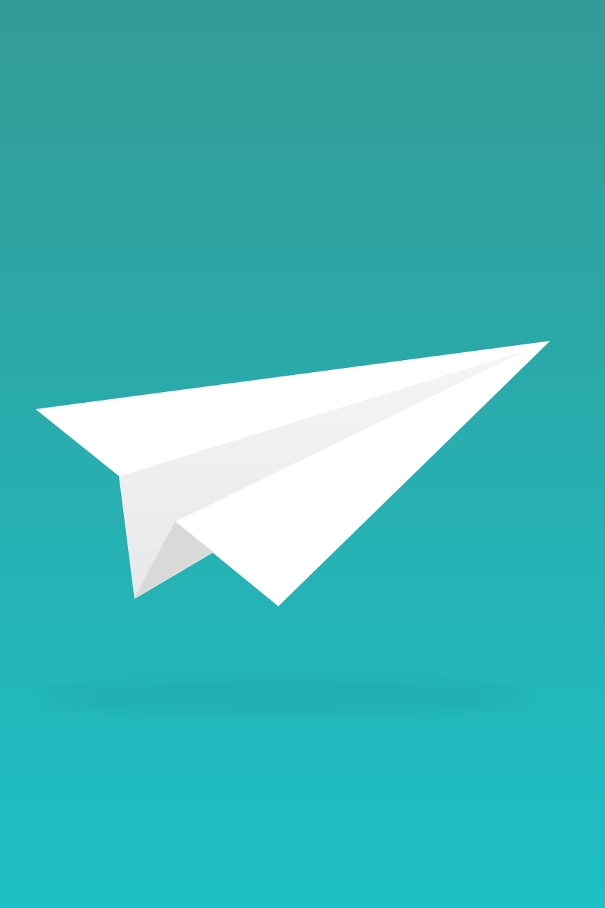 850x1276 Paper Plane