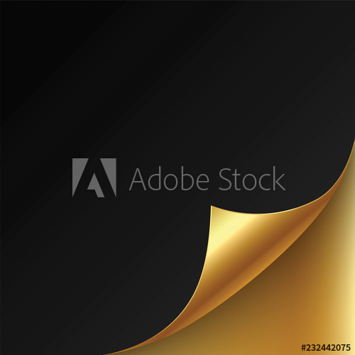 500x500 Page Curl Corner On Blank Sheet Of Paper Vector Black Fold