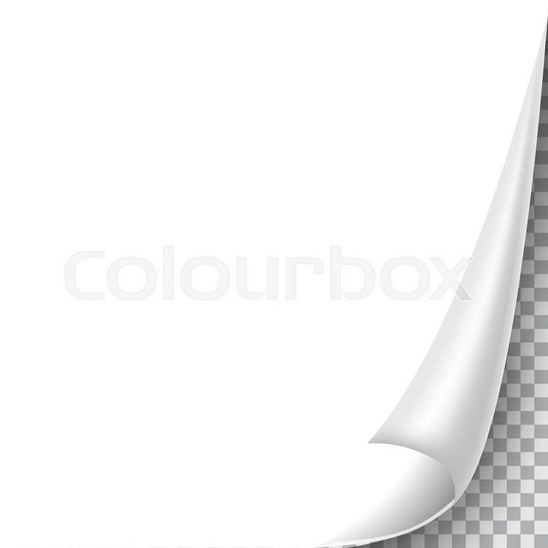 800x800 Blank Sheet Of Paper