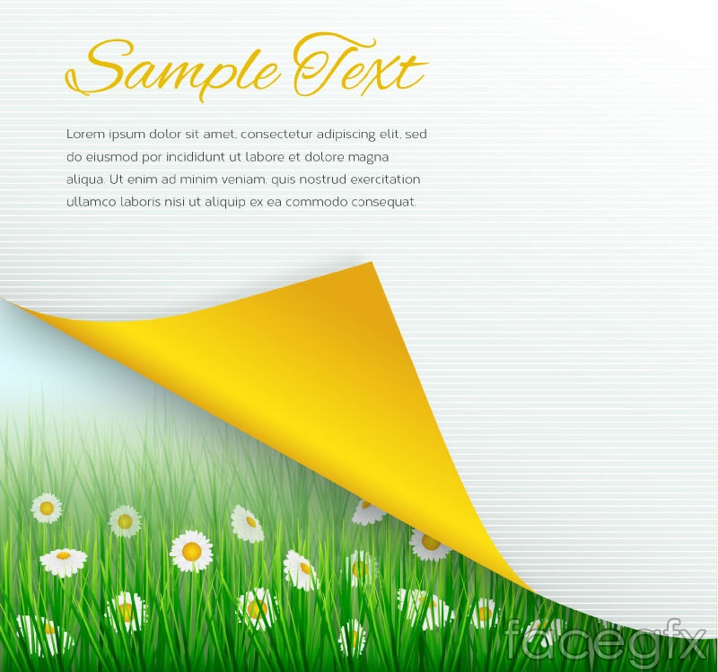 800x749 Under The Flip Side Of Paper Flowers Vector Over Millions