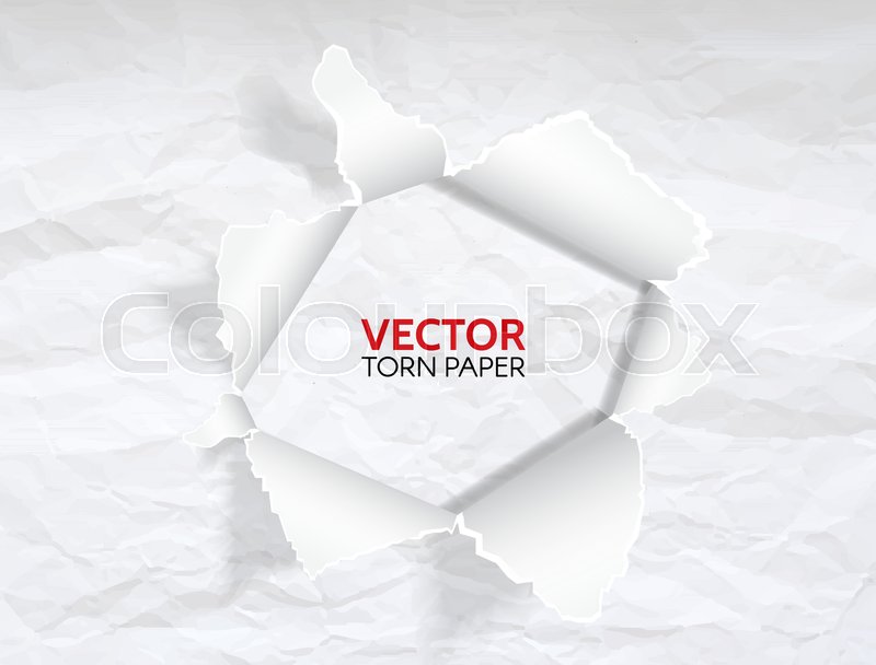 Paper Hole With Space For Text Torn Stock Vector Colourbox 800x608 Paper Hole With Space For Text Torn Stock Vector Colourbox