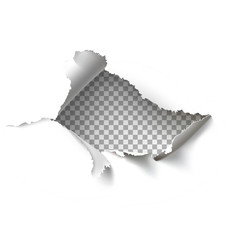 Search Photos Paper Hole Vector 229x240 Search Photos Paper Hole Vector