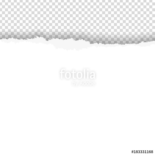 Torn Paper With Ripped Edge Stock Image And Royalty Free Vector 500x500 Torn Paper With Ripped Edge Stock Image And Royalty Free Vector