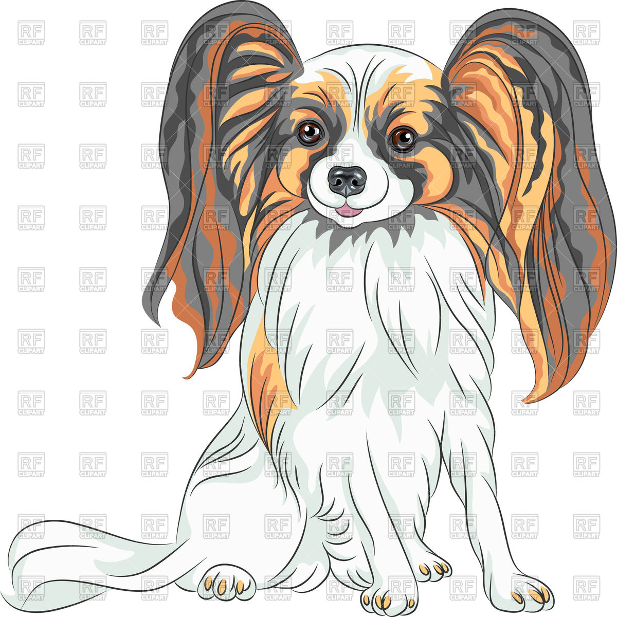 1200x1200 Sketch Of Sitting Papillon Vector Image Of Plants And Animals