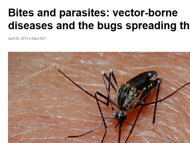 640x480 Life Forms On Earth Are Being Infected