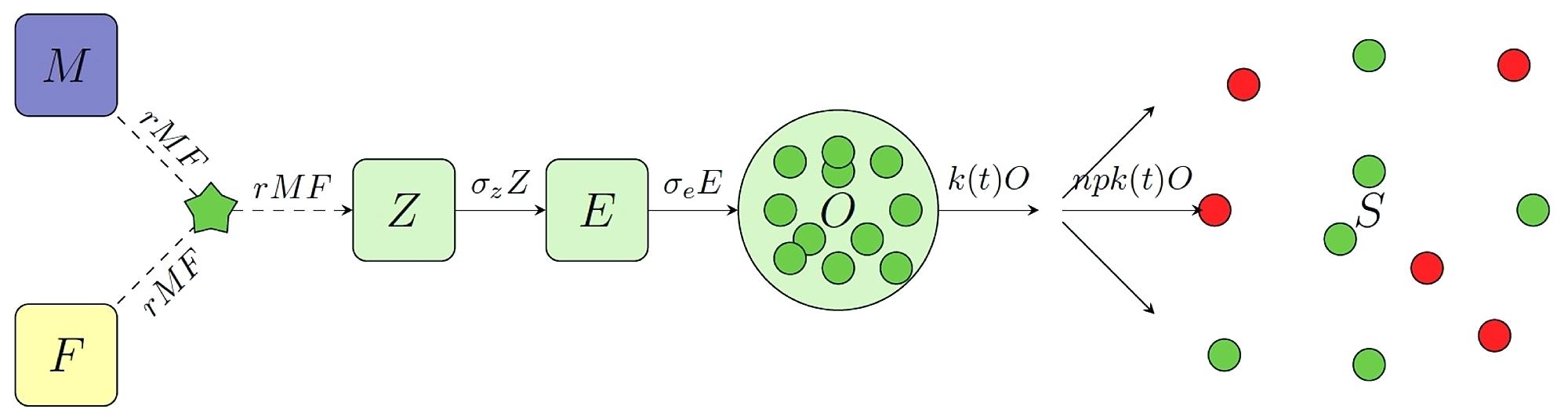 2000x536 Parasites Vectors Math Diagram Of The Underlying Within Vector