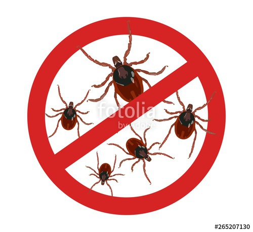 500x459 Stop Red Sign Carefully Ticks Insect Parasites Vector